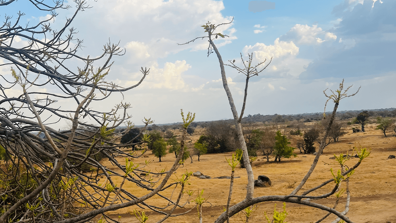 Pikworo Slave Camp