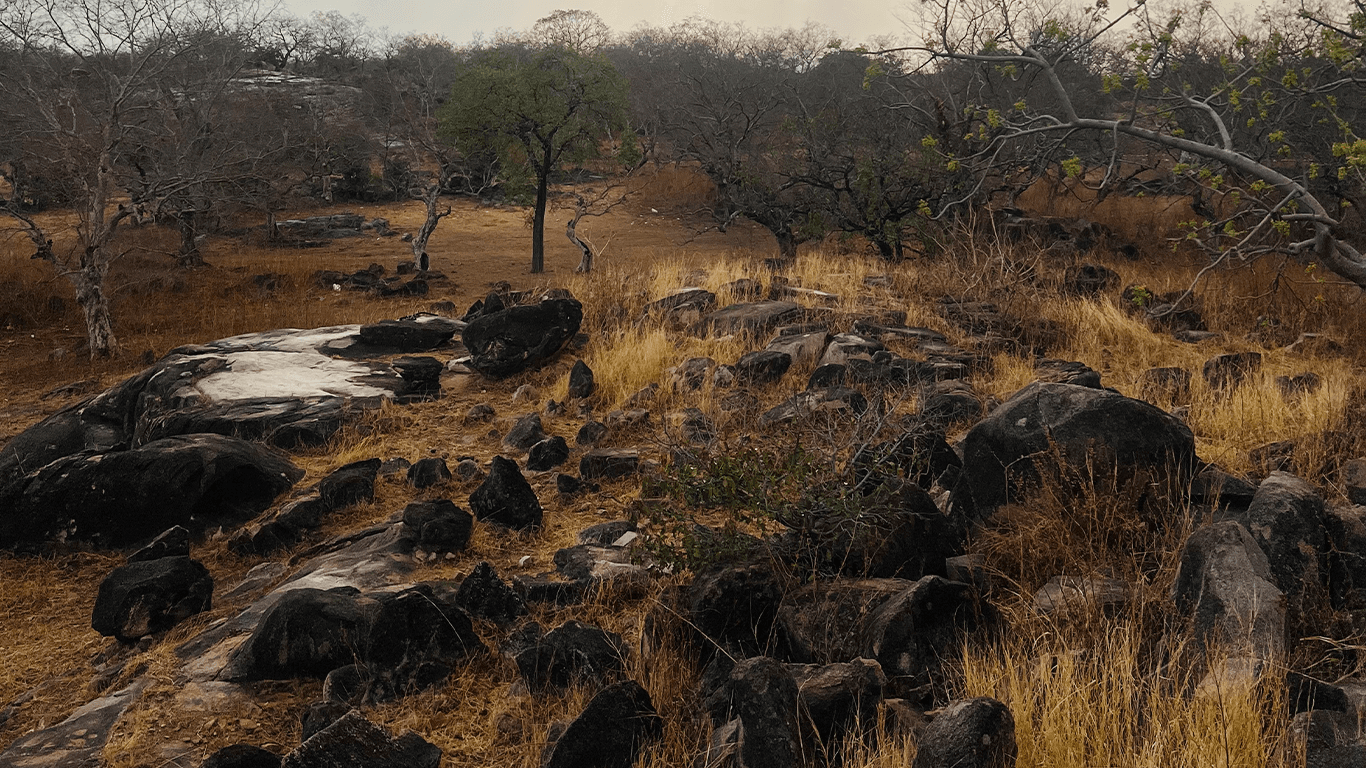 Pikworo Slave Camp: A Forgotten Chapter in Ghana's History
